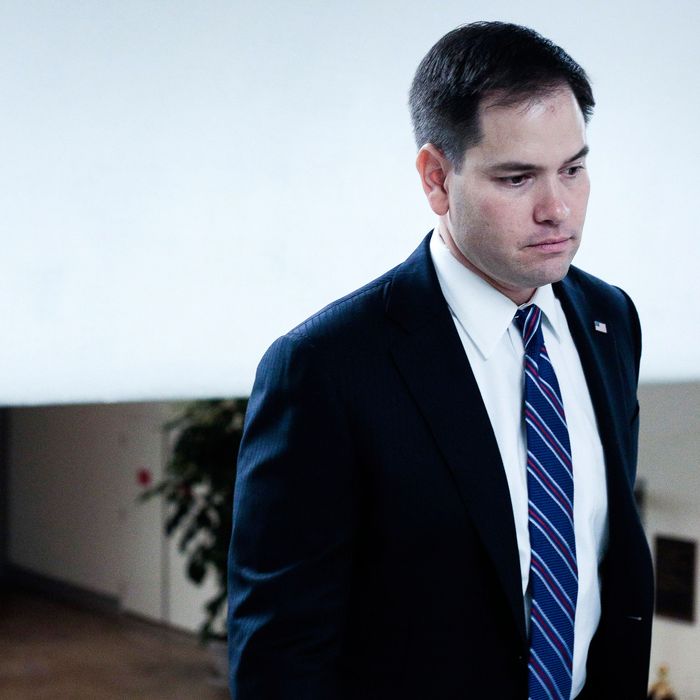 U.S. Sen. Marco Rubio (R-FL) heads to the weekly Senate Republicans policy luncheon on March 19, 2013 in Washington, DC. The Senate is expected to pass a revised continuing resolution and send their edits back to the House in order to prevent a government shutdown next week, but any action in the Senate may be delayed until later in the week.