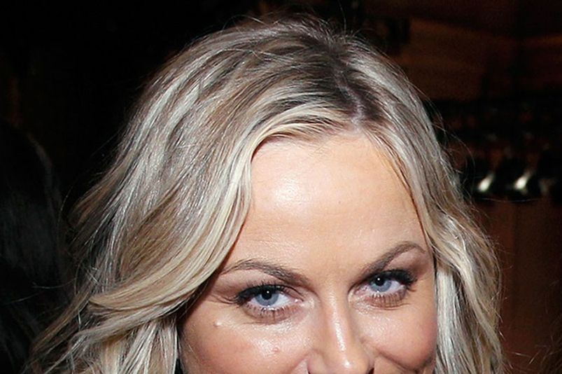 Amy Poehler Ponders Millennials Fancy New Gender Fluidity