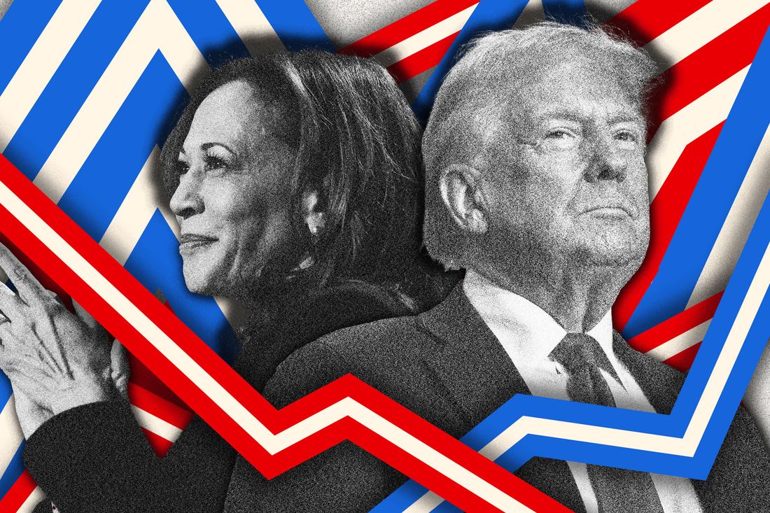 Harris vs. Trump Polls: A Rock Fight, But Kamala Has a Slight Advantage