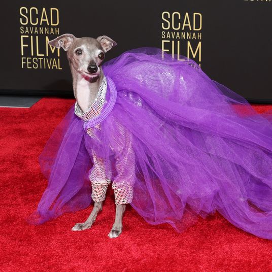 25th SCAD Savannah Film Festival - Red Carpet And Gala Screenings Of 