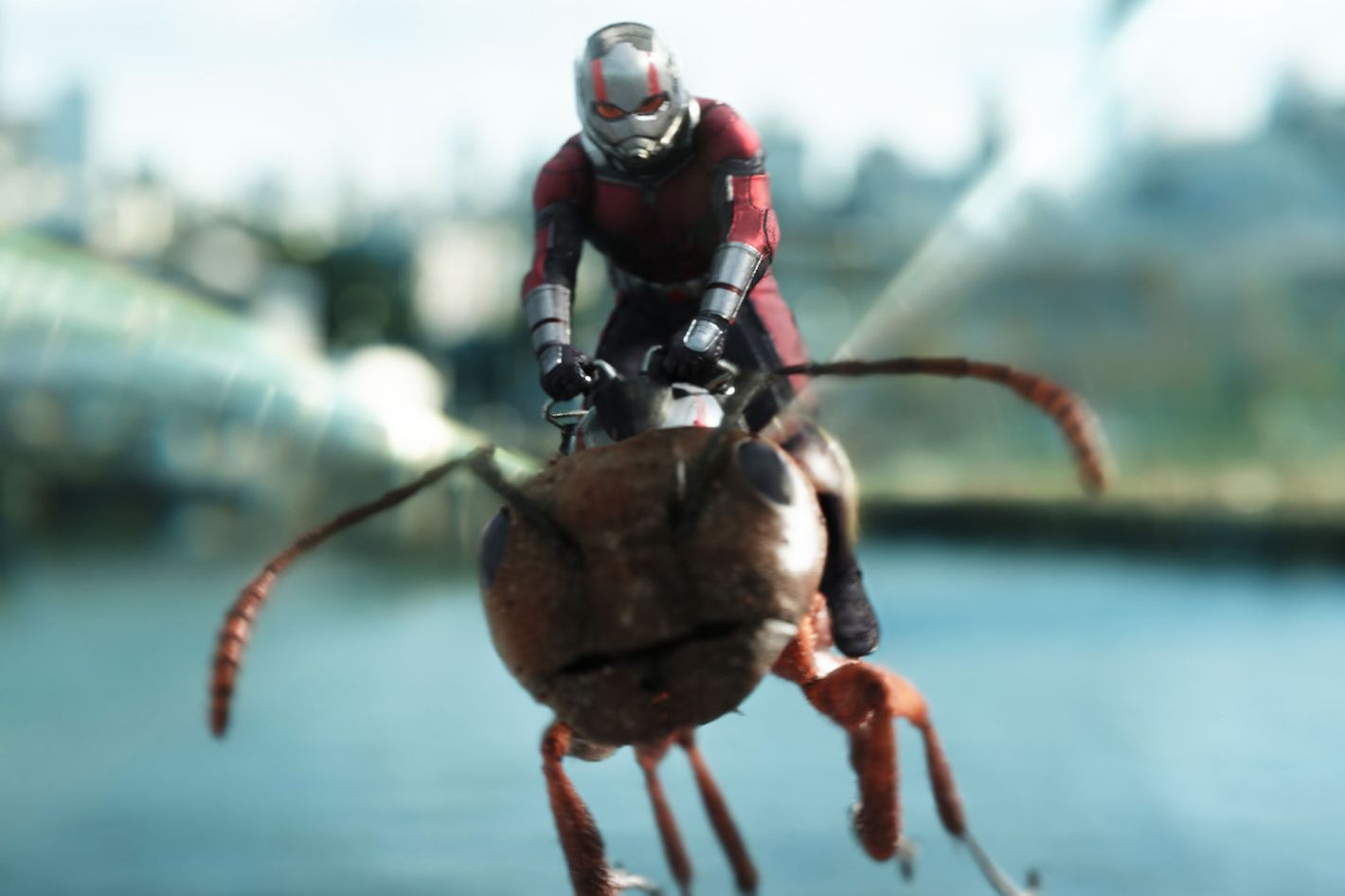 Ant-Man Is Marvel's Weirdest Movie, and That's a Good Thing