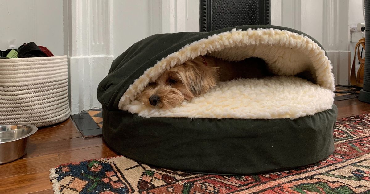 fancy pet beds for dogs