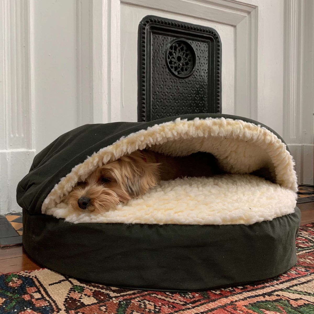 toy dog bed