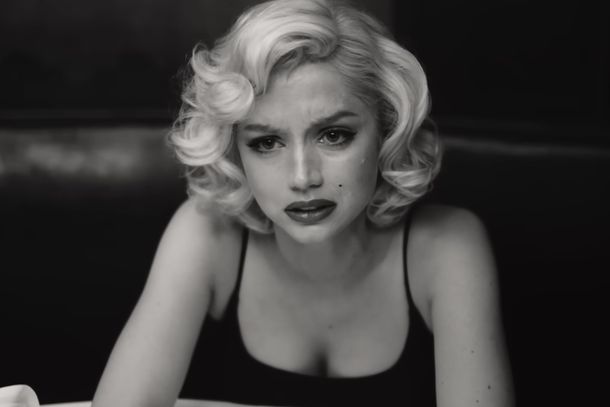 Marilyn Monroe Porn Blowjob - Andrew Dominik - Vulture