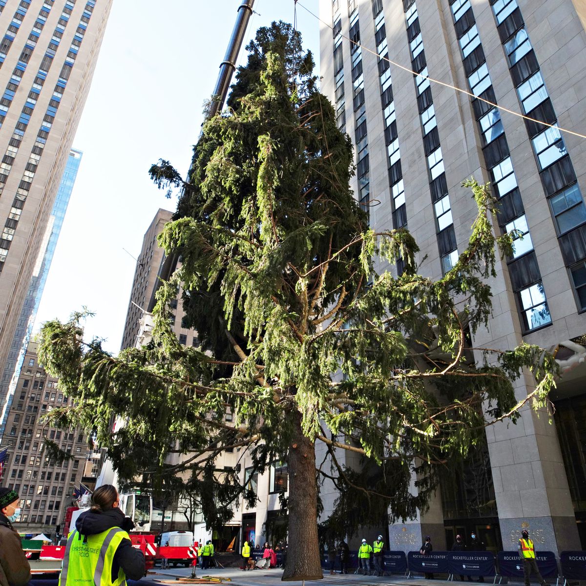 Times Square Christmas Tree 2022 Owl