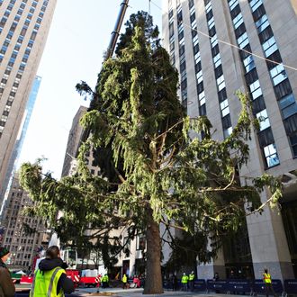 New deals rockefeller tree