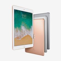 Apple iPad (10.2-Inch, Wi-Fi, 32GB)