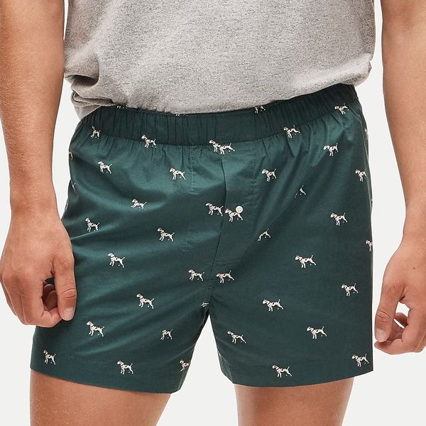 J.Crew Printed Boxers in Cotton