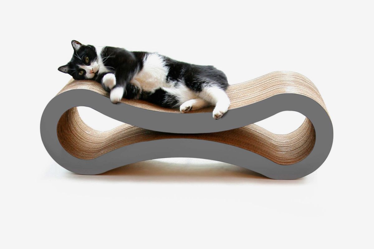 66 Best Gifts for Cat Lovers 2023 | The Strategist