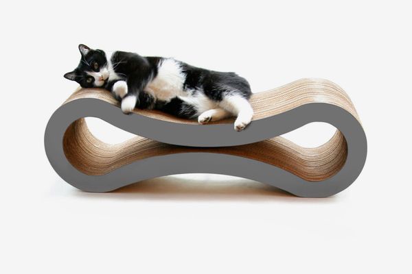 funny gifts for cat lovers