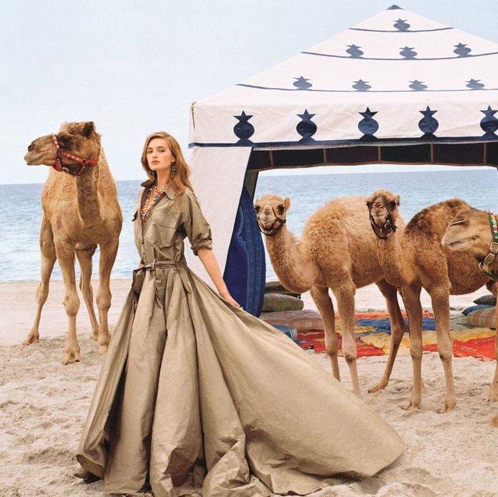 Ralph Lauren's New Campaign Is a Beachside Safari