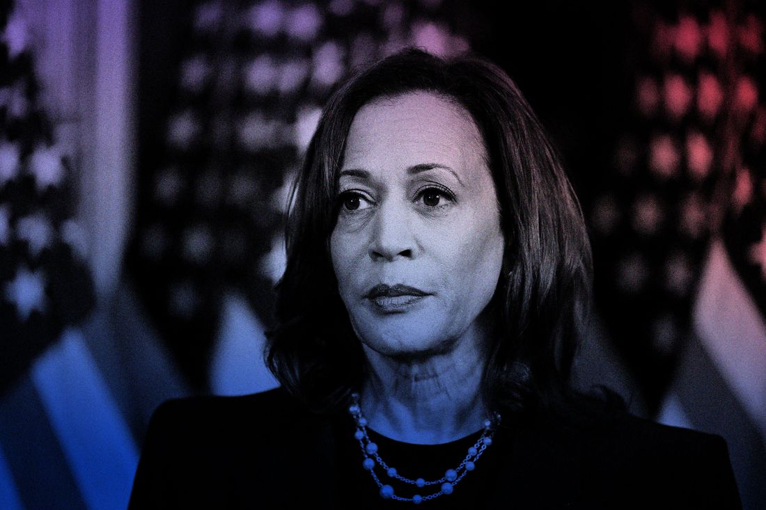 What Kamala Harris’s Candidacy Means for Black Women