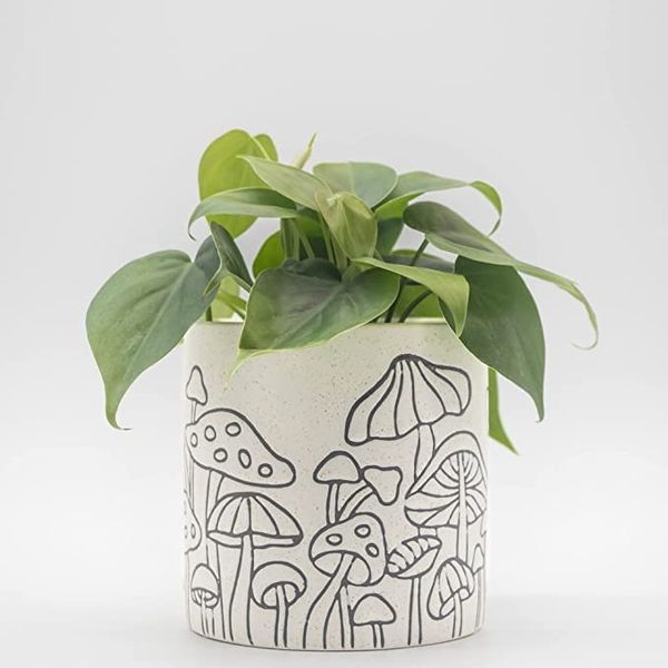 Base Roots Mushroom and Speckled White Ceramic Planter