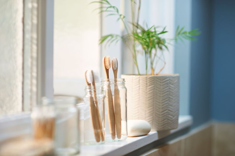best vegan toothbrush
