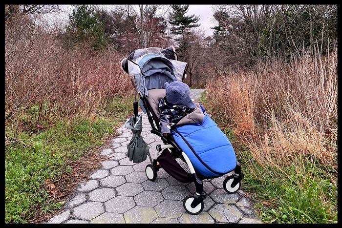 View from the side of a baby in a winter hat sitting in the Yoyo stroller in Prospect Park.
