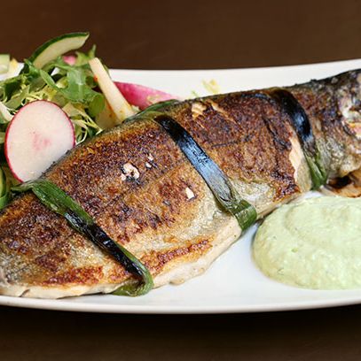 sorrel, radish, cucumber-dill yogurt