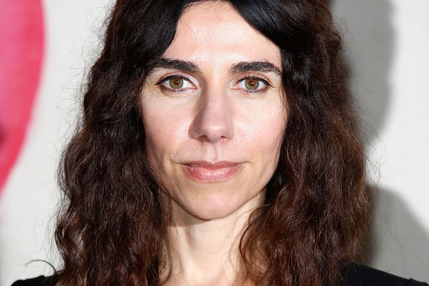 PJ Harvey's New Album Due Out Spring 2016, Which Gives You a Few Months to Get Ready to Rage