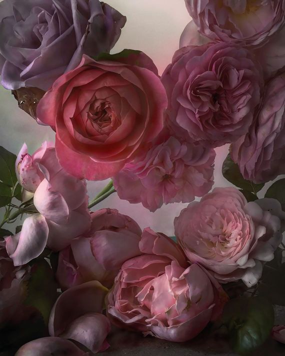 Dior’s New Book In Bloom is All About Flowers