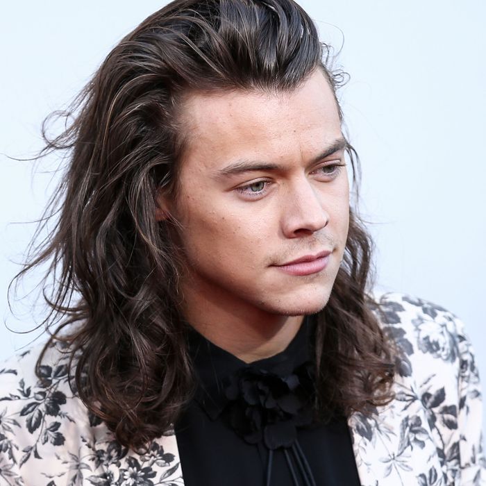 Transparent Harry Styles Png  Harry Styles Long Hair Png Png Download   vhv