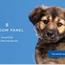 Wisdom Panel Essential Breed Identification DNA Test for Dogs