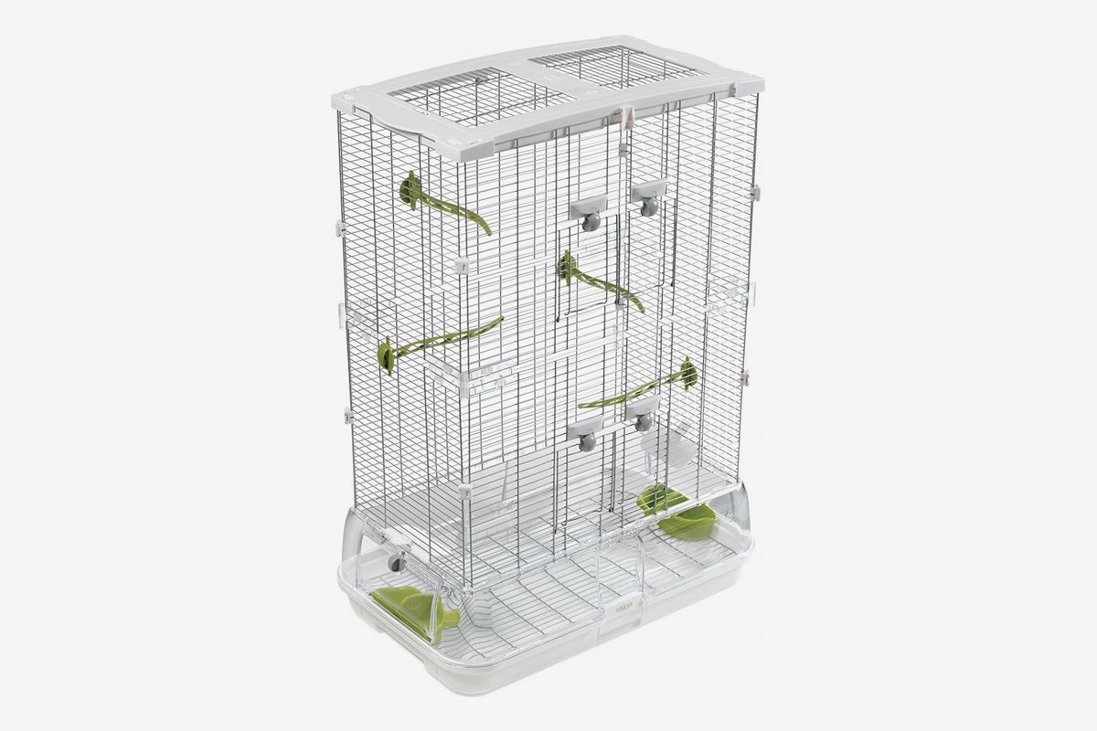 Vision Home for Birds - Hari
