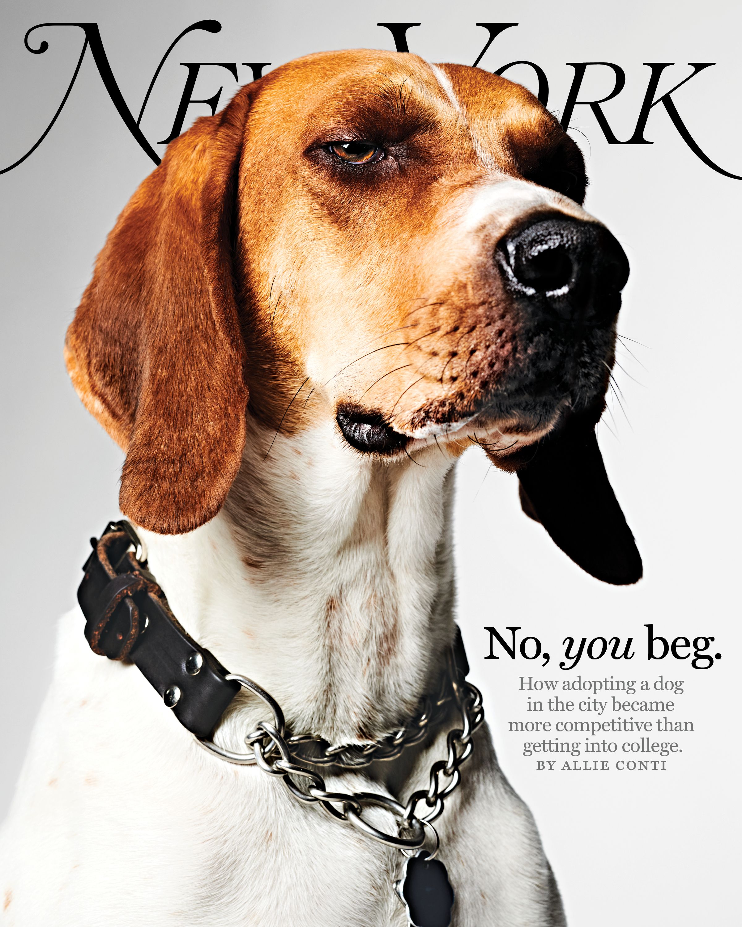 On The Cover Of New York Magazine It S A Dog S Market New York Media Press Room