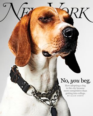 New York Magazine: July 19, 2021 Issue