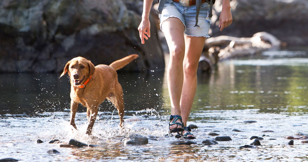 13 Best Hiking Sandals for Men and Women 2021 | The Strategist