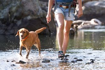 Hiker and Dog Crossing The Shallow Part of a River.