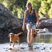 Hiker and Dog Crossing The Shallow Part of a River.