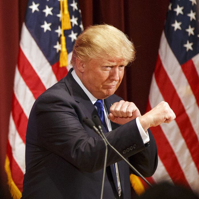 Presidential Candidate Donald Trump Holds Event To Benefit Veterans Organizations