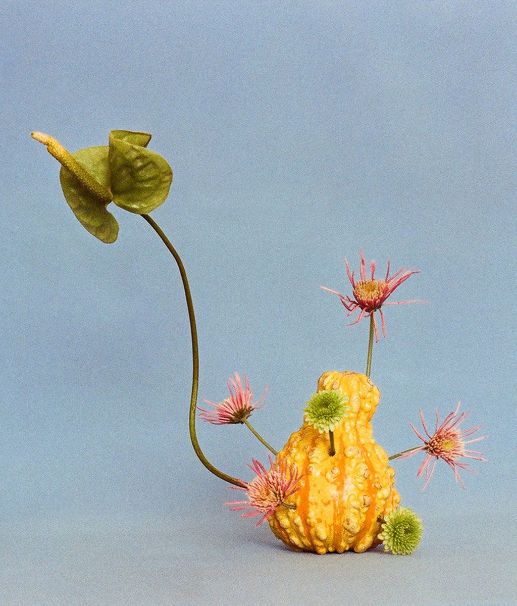 Hanara Flowers - • aranjament floral ikebana “Humans for some peculiar  reason, need and crave for beauty. Fragile, lovely and perfumed, so easily  bruised and so quick to die, flowers appear to