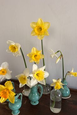 Carolina Irving & Daughters Attica Vase - Green With White