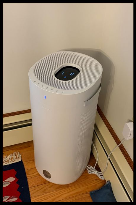 8 Best Humidifiers | The Strategist