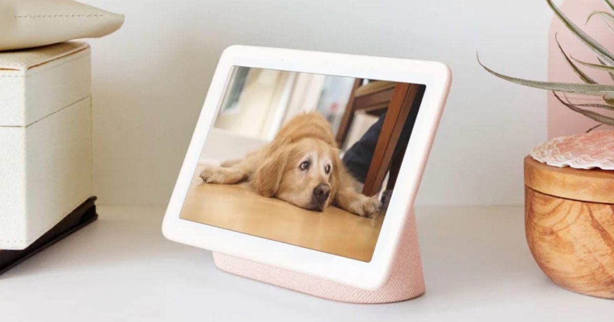 echo show google nest