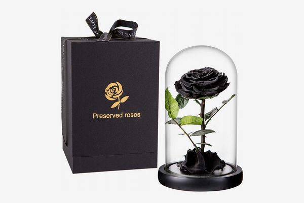 Black Preserved Rose in Glass Dome