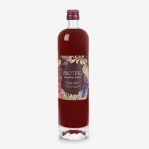 Proteau Rivington Spritz