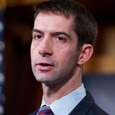 Tom Cotton, the junior United States Senator from Arkansas.