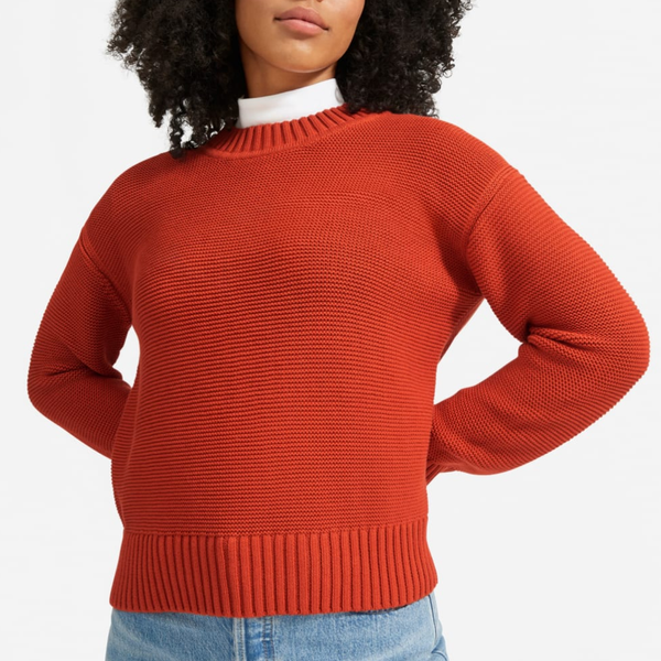 Everlane Link-Stitch Crewneck Sweater