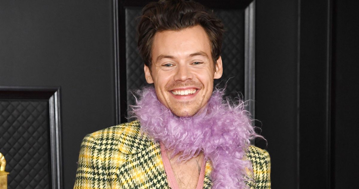 Harry Styles' 2021 Grammys Outfit Look Included A Green Feather