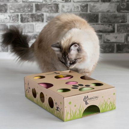 cat treat maze