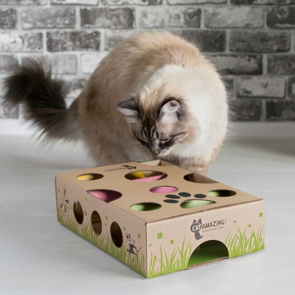 Mad Cat Pizza Purrty Play Mat for Cats