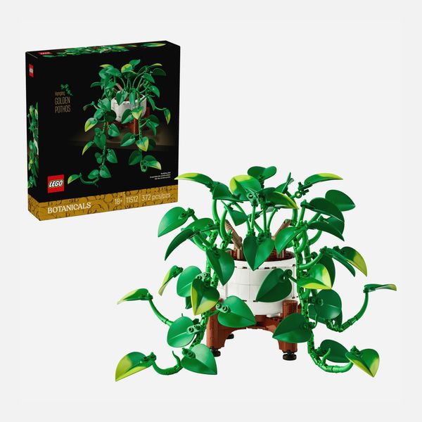 LEGO Hanging Golden Pothos