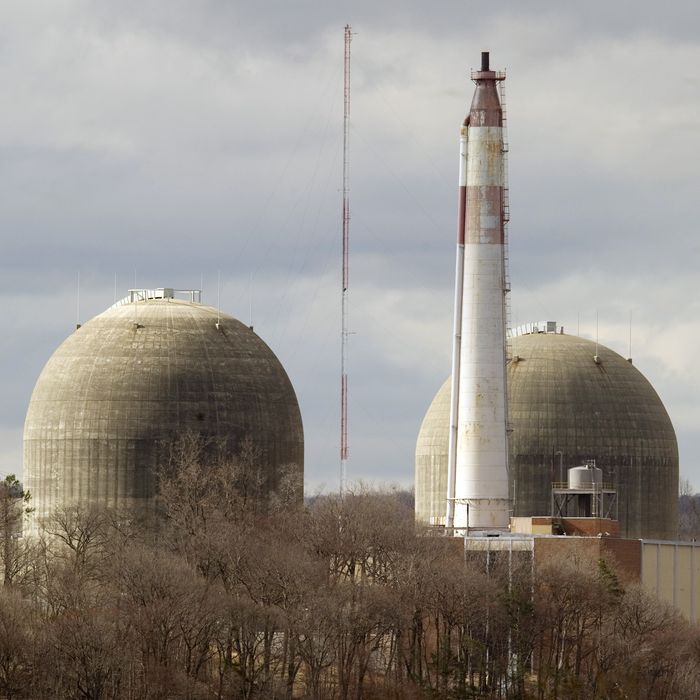The Indian Point Nuclear Power Plant on the banks of the Hudson River March 22, 2011 in Buchanan, NY. The Indian Point station, comprised of two operating nuclear reactors, sits atop the Ramapo fault line, causing concern for some residents in the wake of the Japan disaster. AFP PHOTO / DON EMMERT (Photo credit should read DON EMMERT/AFP/Getty Images)
