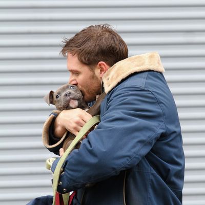 Tom Hardy spotted shooting scenes with a cute puppy for his upcoming movie 'Animal Rescue' in Brooklyn, NYC.
<P>
Pictured: Tom Hardy
<P><B>Ref: SPL509299 110313 </B><BR/>
Picture by: Splash News<BR/>
</P><P>
<B>Splash News and Pictures</B><BR/>
Los Angeles:	310-821-2666<BR/>
New York:	212-619-2666<BR/>
London:	870-934-2666<BR/>
photodesk@splashnews.com<BR/>
</P>