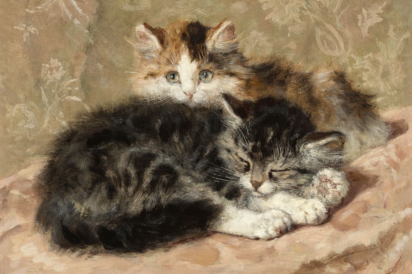 Revisiting The 19Th Century'S Cat-Painting Renaissance (Price: $15,000 —  Lol!) - Slideshow - Vulture