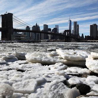 A build-up of ice is viewed in the East River near the Brooklyn Bridge on February 23, 2015 in New York City. New York City and much of the East Coast has been experiencing frigid temperatures over the past week with heavy snow and sleet accumulations. Temperatures have hovered in the teens with wind chills dropping below zero.(Photo by Spencer Platt/Getty Images)