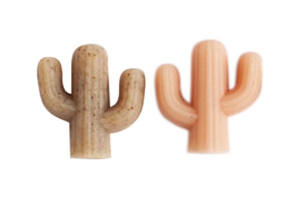 Cactus Soaps, set of four