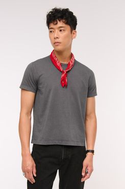 Abercrombie & Fitch Classic Polished Cropped Tee