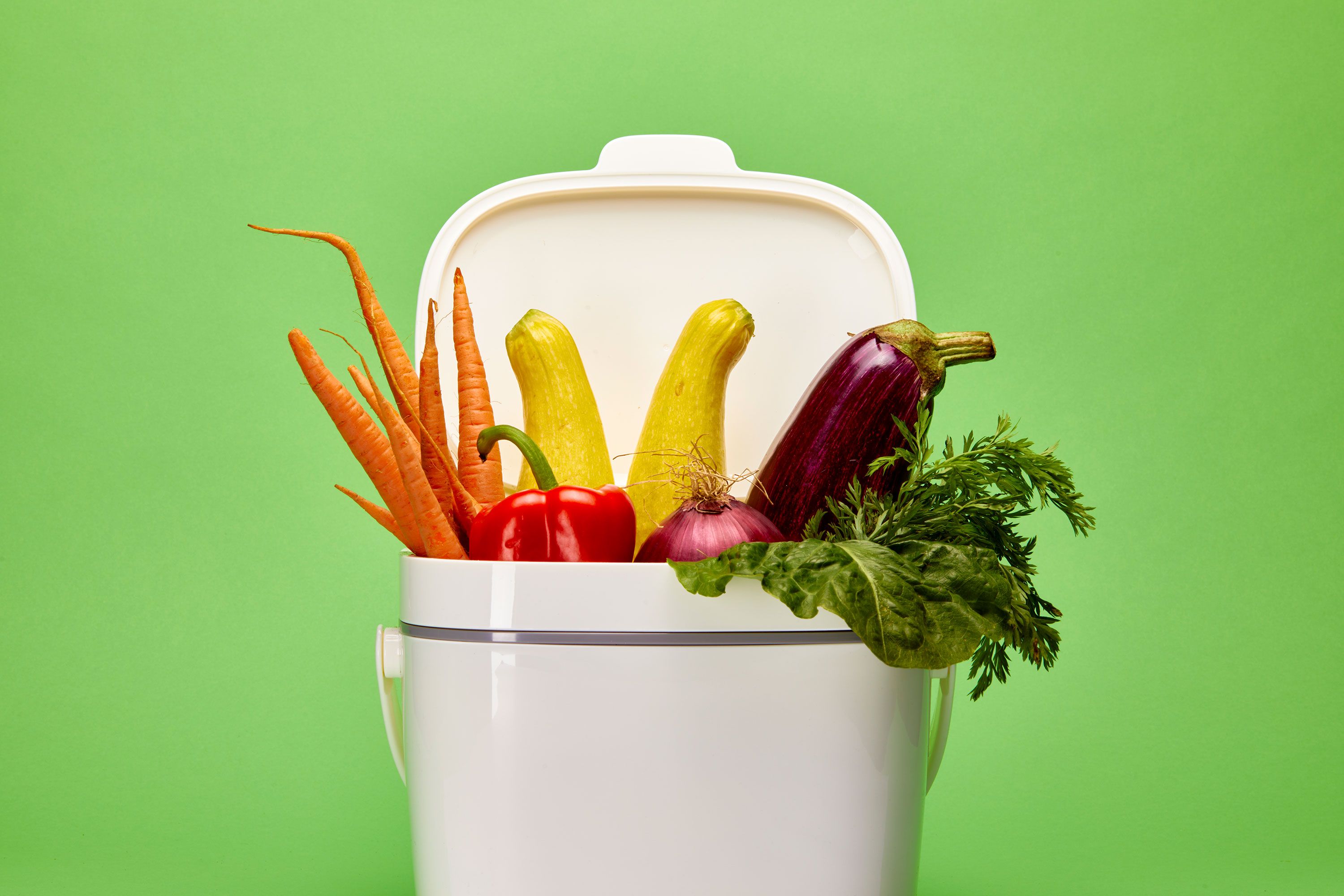 8 Kitchen Compost Bins We Love in 2024